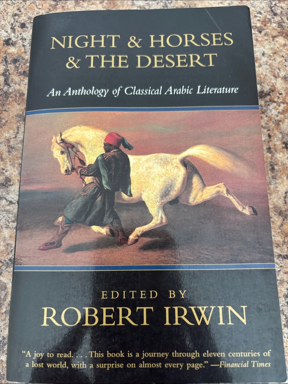 Night & Horses & The Desert — Robert Irwin (Paperback)